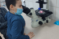 chłopiec przy mikroskopie
