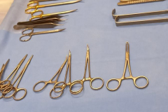narzędzie chirurgiczne