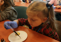 IMG_20191116_152643_optimized