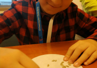 IMG_20191116_154405_optimized