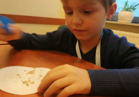 IMG_20191116_154458_optimized