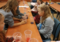 IMG_20191116_161117_optimized