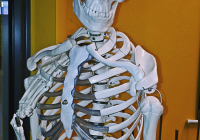44396203_314014442733298_535562716501245952_n
