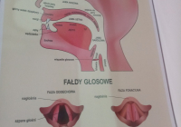 Zajęcia-z-dr-Agnieszką-Rosińską-Mamej-4