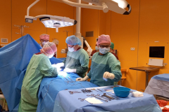 chirurdzy podczas operacji