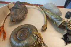 Szkielety wyginiętych gatunków zwierząt