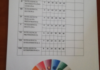 49351493_1001673780019930_578375010637316096_n