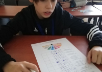 49802105_231482877728553_8165415643596718080_n