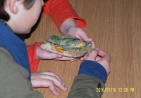 udjk19012016_27.jpg