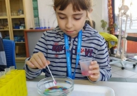 15645765_914881541981817_874126277_n