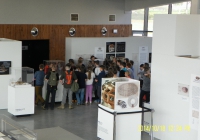 udjk22.jpg