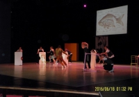udjk_zak_15161_25
