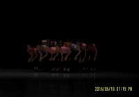 udjk_zak_15161_8