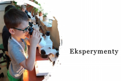 Slajd z napisem eksperymentem i zdjęciem chłopca