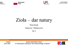 Slajd tytułowy prezentacji Piotra Kruka