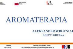 Slajd tytułowy prezentacji Aleksandra Wrotniaka