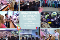 Turkusowy Kot Cytat Fotograficzny Kolaż