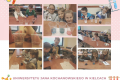 Turkusowy Kot Cytat Fotograficzny Kolaż