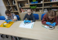 IMG_20190316_140754
