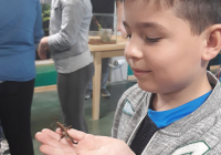 20180421_094748