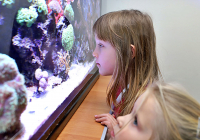 Zjazd_Adepci_14-12-2019_46