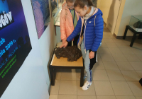IMG_20190413_092850